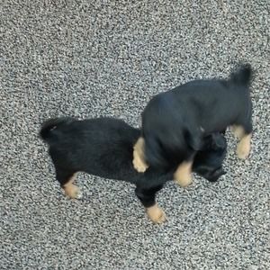 Meet your Posher, Stacee